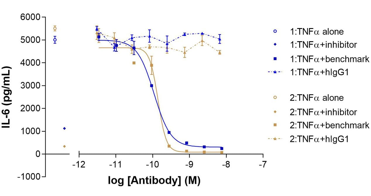 1268-IL-6-RA-syn-fibs-2